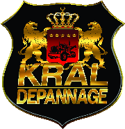 KRAL DÉPANNAGE & REMORQUAGE | Paris